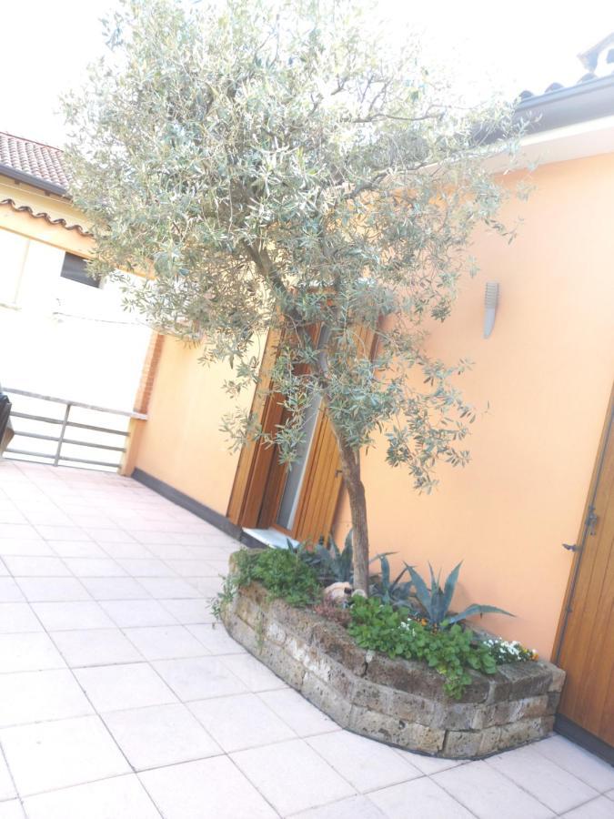 Home Scalzi 18 Werona Zewnętrze zdjęcie